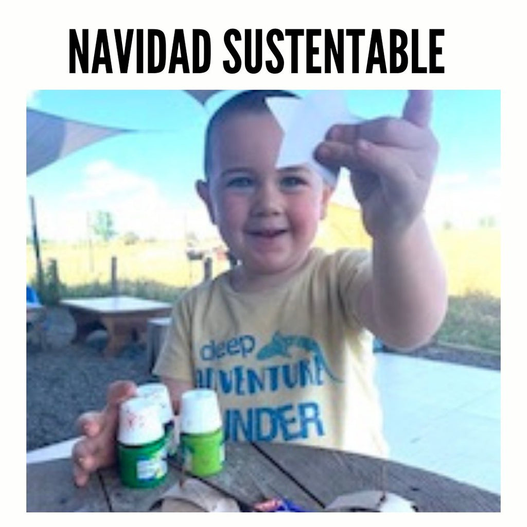 NAVIDAD CON SENTIDO | Polluelo Ltda