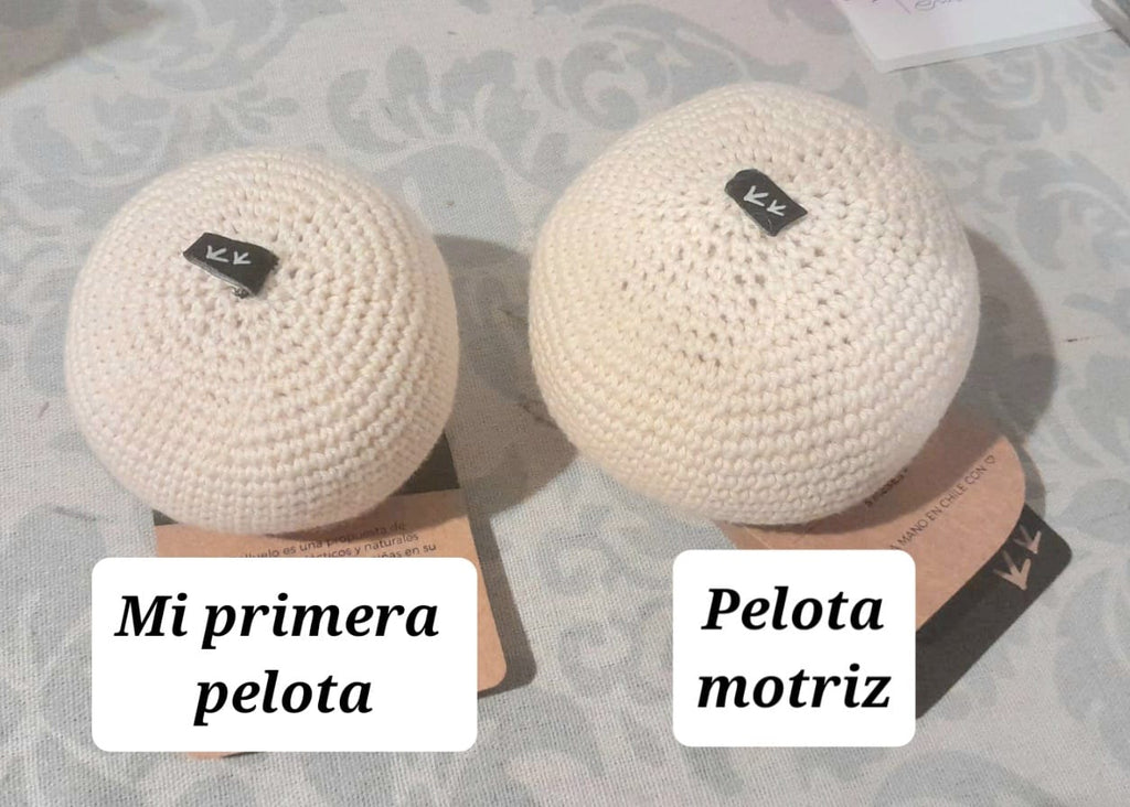 Mi Primera Pelota